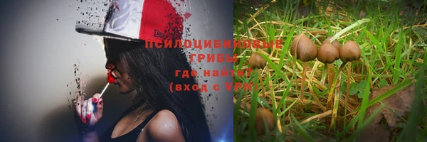 кокаин премиум Зерноград