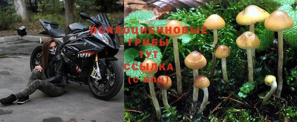 мяу мяу мука Зеленодольск