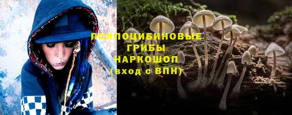 мяу мяу мука Зеленокумск