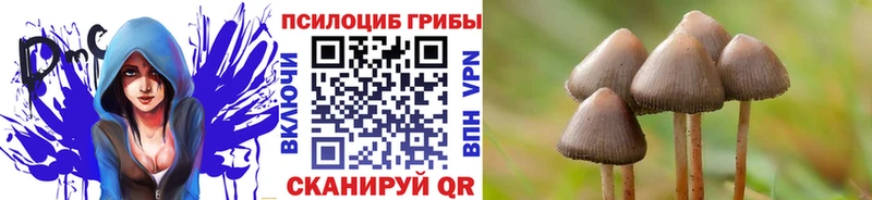 Псилоцибиновые грибы мухоморы  Купить  Новотроицк 